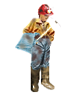 Minorminer.png