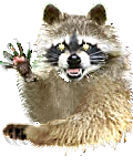 Coon.png